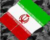~Iran Hand Held Flag