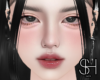 SH - Jae Head