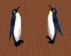 (v) Penguins Dance