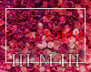 III M III ► BACKGROUND