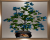 Blue Blossom Plant