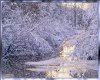 [AMY]Winter Stream
