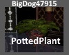 [BD]PottedPlant