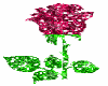 Glitter Rose animated