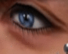 Wolf Navy Eyes