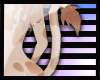 N: Malon Tail 3