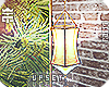 ~FHL/ lamp