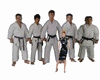 Karate Men bg-DRV