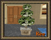 [R]COLONIAL TOPIARY POT