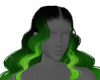 virginia green ombre