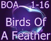 |GZ]Birds Of A Feather