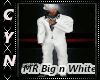 Mr Big n White