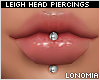 Leigh Silver Labret