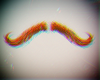 Auburn Mustache