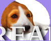 Beagle Dog NPC PRO
