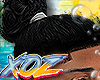 xOz Knox Bun Fade '25