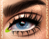 ♡ Boop EyeShadow IV