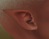 Pointy elf Ears