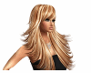 hair graduated with mesh