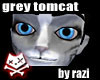 Grey Tabby Tomcat Bundle