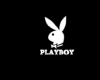 playboy