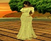 Lace Wedding Gown Prego