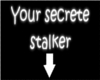 [KS] Secret Stalker