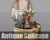 *Antique Suitcase