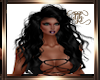 Dina Black Licorice