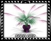 Purple pot w/plant