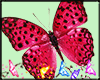Je ANIMATED BUTTERFLY