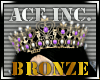 Ace Inc. Bronze Crown