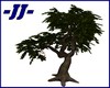 -JJ-Jodi's Oak Tree