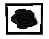 Black Rose Picture Frame