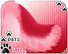 [Pets] Tila | tail v3