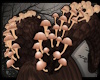 +Mushroom Horns v2