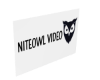 Night Owl Video Sign