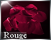 (K) Soie-Rouge*Rug/Rose2