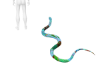 lucidcreach ~ snake curl