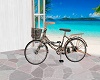 Hawaii Bicycle