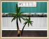 Coastal Palm Trees