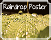 Raindrop Leaf  Poster