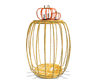 Autumn golden barrel