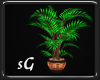 [SG]Elegant wood Plant