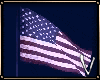 USA FLAG ᵛᵃ