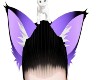 Purple Neko Ears