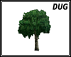 (D) Big Tree