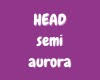 mh aurora semi exc