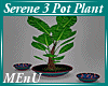 !ME SERENE 3 POT PLANT