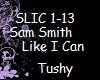 SamSmith Like I Can